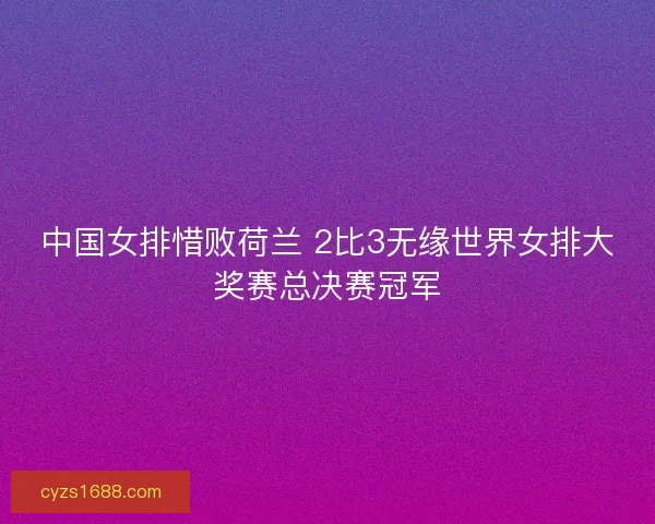 中国女排惜败荷兰 2比3无缘世界女排大奖赛总决赛冠军