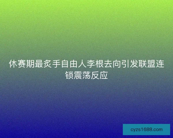 休赛期最炙手自由人李根去向引发联盟连锁震荡反应